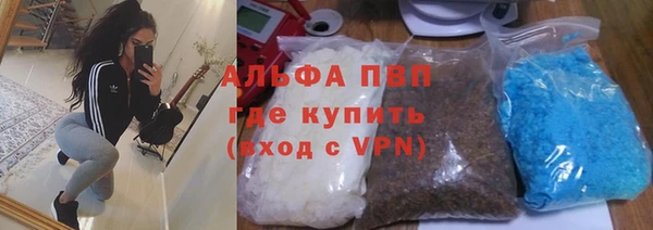твердый Абаза