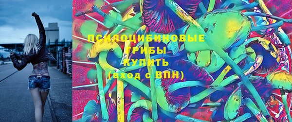стаф Абдулино