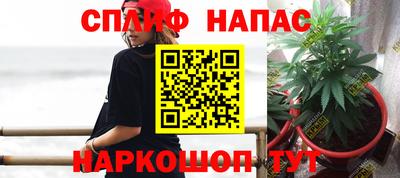 гидра Комсомольск-на-Амуре