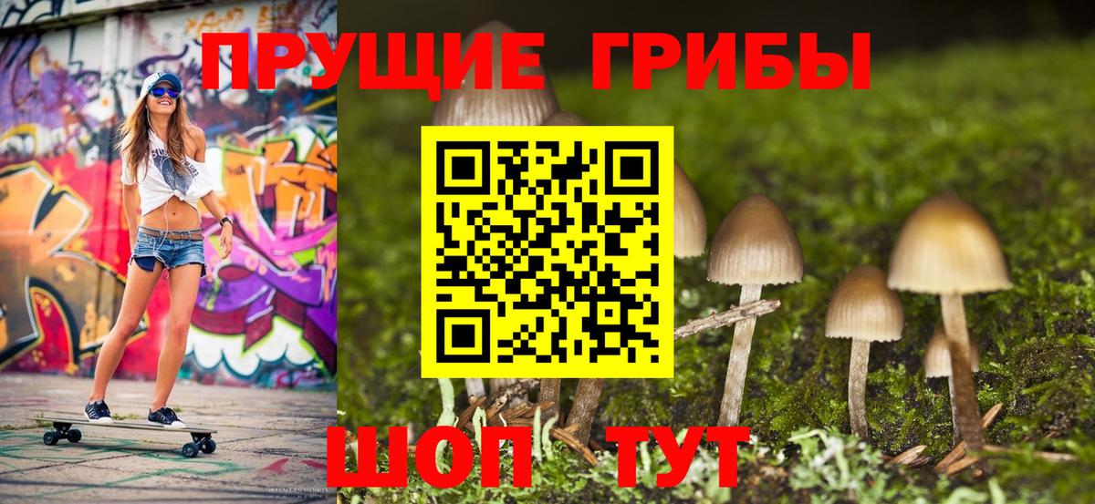 Галлюциногенные грибы Psilocybe  Псилоцибиновые грибы мухоморы  Старая Купавна  купить закладку  Вход с VPN 